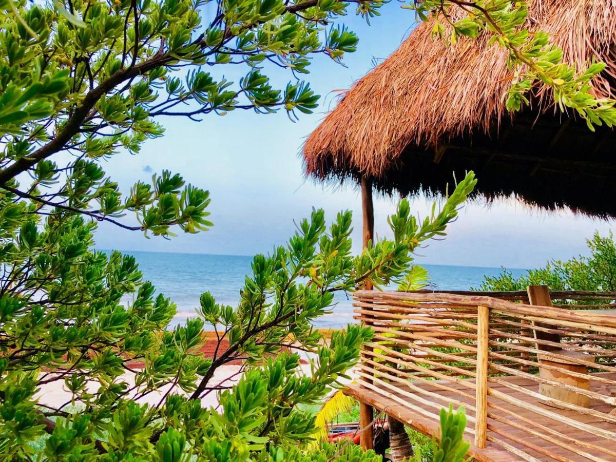 Casa Pelicanos Tulum Beach Mx - Next To Hotel Zone Εξωτερικό φωτογραφία