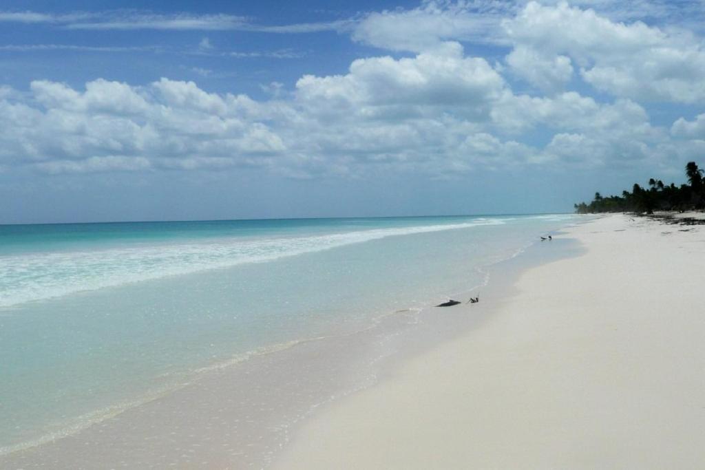 Casa Pelicanos Tulum Beach Mx - Next To Hotel Zone Εξωτερικό φωτογραφία
